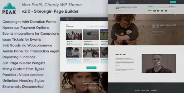 23 Best WordPress Charity and Non-Profit Themes